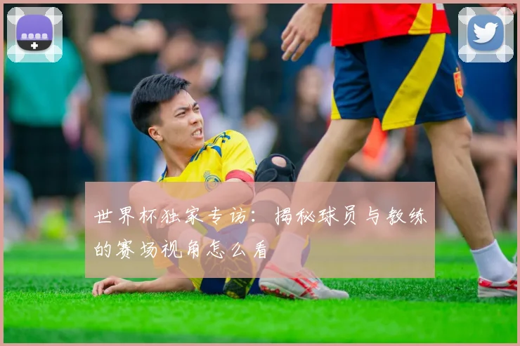 世界杯独家专访：揭秘球员与教练的赛场视角怎么看