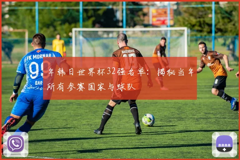 年韩日世界杯32强名单：揭秘当年所有参赛国家与球队